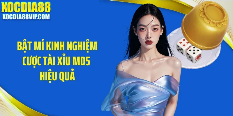 bat mi kinh nghiem cuoc tai xiu md5 hieu qua Bật mí kinh nghiệm cược tài xỉu MD5 hiệu quả