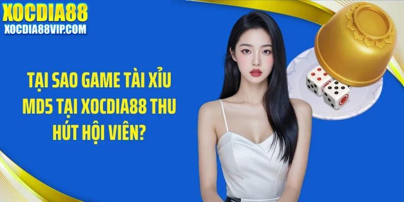 tai sao game tai xiu md5 tai xocdia88 thu hut hoi vien Tại sao game tài xỉu MD5 tại Xocdia88 thu hút hội viên?